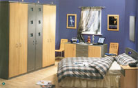 Fitted bedroom furniture  - Euroline Stainlees Steel and Beech